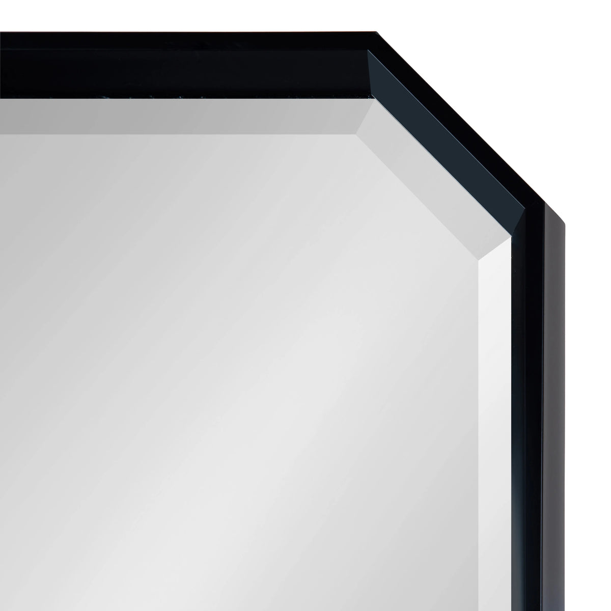 Octagon Wall Mirror, 17.5 x 49.5, Black S494101