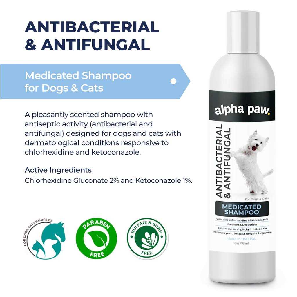 Antibacterial & Antifungal Medicated Shampoo Q182