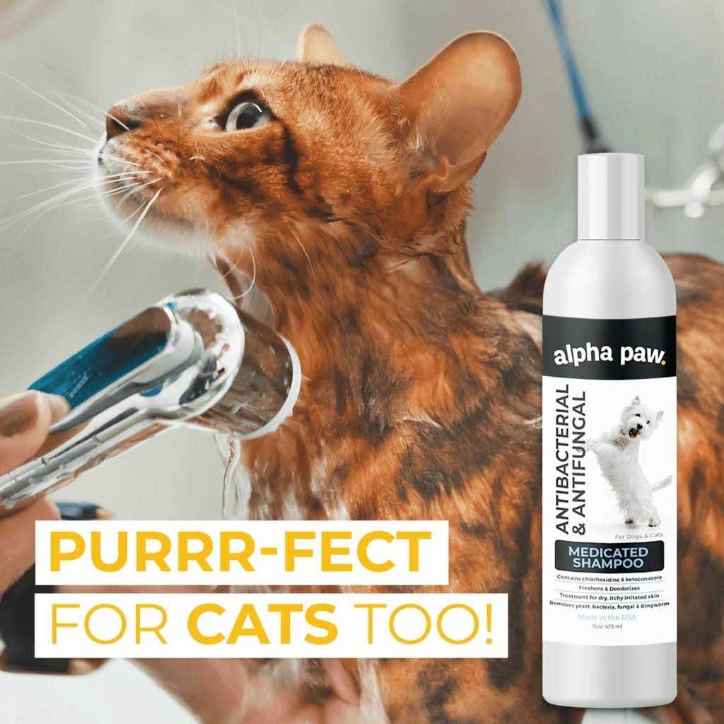 Antibacterial & Antifungal Medicated Shampoo Q182