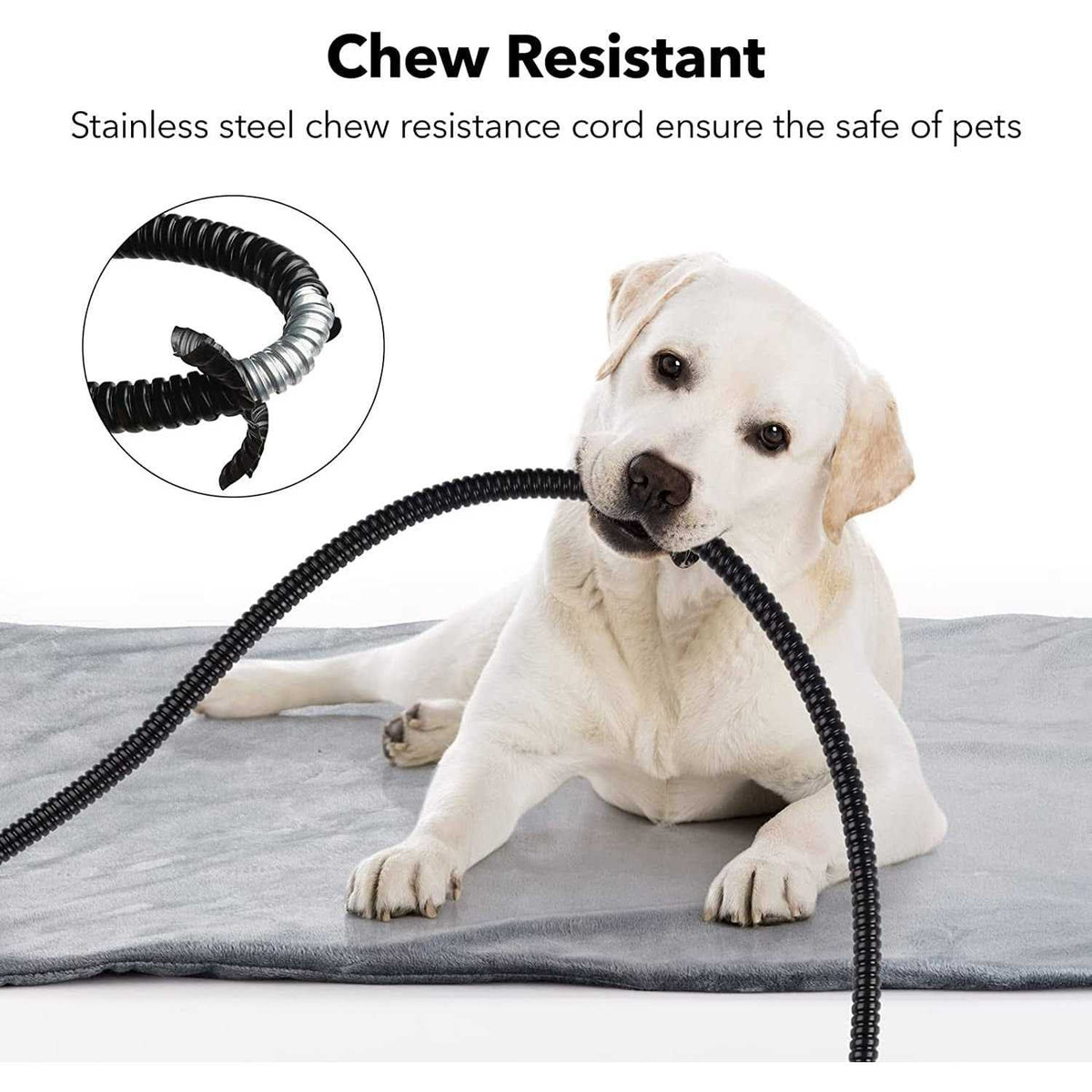 Pet Heating Pad 16 x 18 P229166