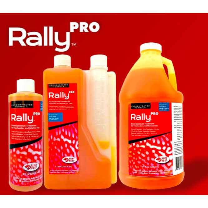 Ruby Reef Rally Pro I22179