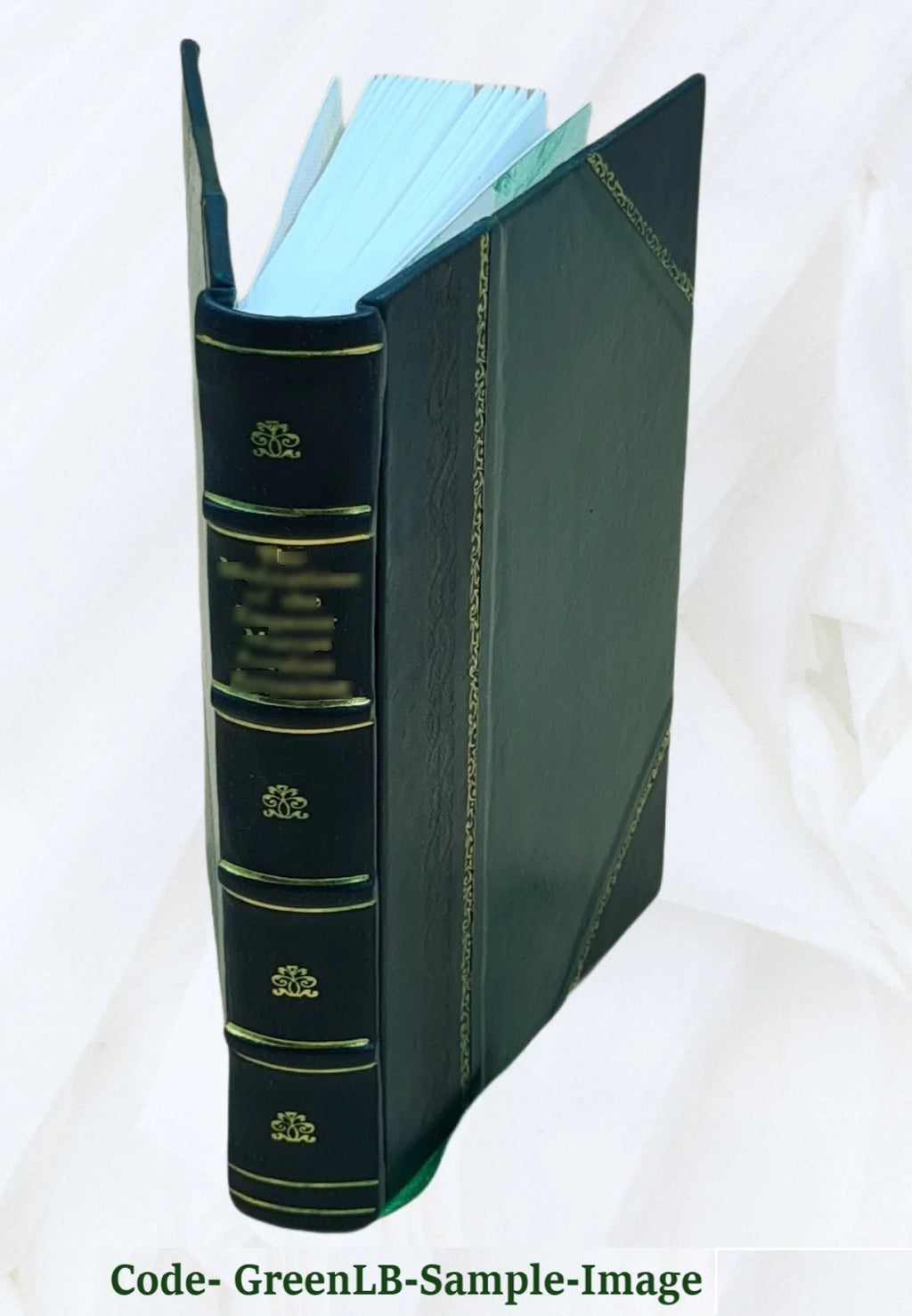 Leather Bound Encyclopedia V673